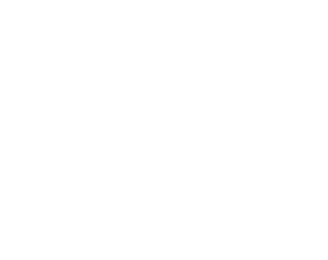 Logo Traveltec